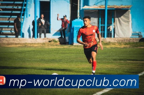 世俱杯体育投注平台生态图